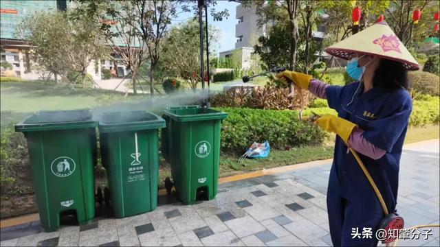 凯发国际常态化消杀打头阵!肇庆一地统筹52个小区筑牢基孔肯雅热防线(图2)