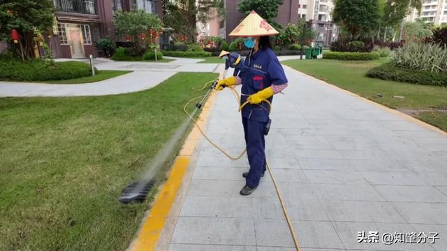 凯发国际常态化消杀打头阵!肇庆一地统筹52个小区筑牢基孔肯雅热防线(图3)