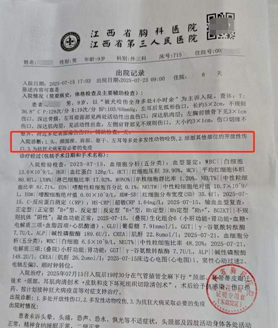 车衣被狗啃到面目全非女车主再发声:是二手车但是我的第一辆车没买车损险(图3)