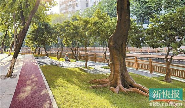 广州老旧小区蝶变尽展“绣花”功夫(图7)