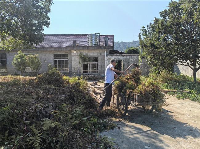 资溪县株溪林场开展全民大清扫志愿活动扮靓环境展新颜(图3)