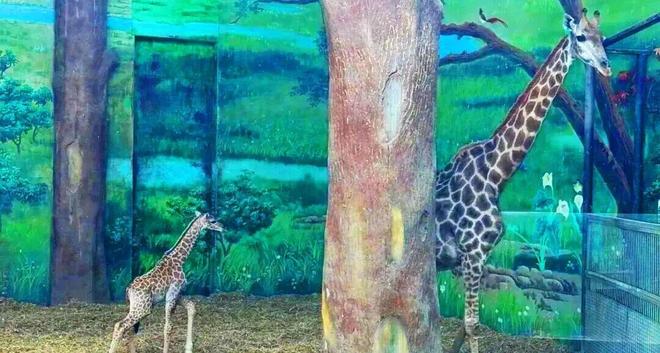 下半年来最强冷空气来了!｜东胜这所中学最新进展!｜2027年建成2800万个→(图4)