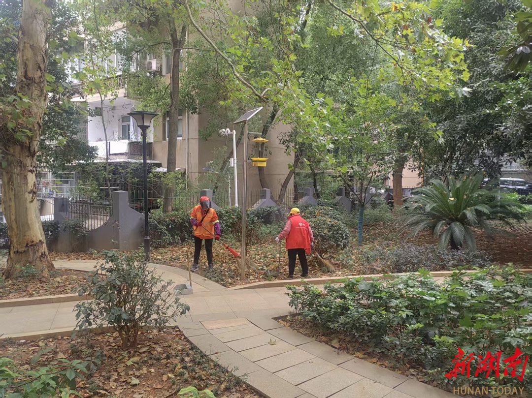 周末大扫除扫出长沙新气象(图2)