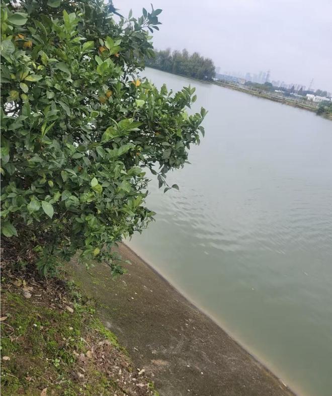 华中农大博士生溺亡现场曝光：45度坡道竟无护栏！悲剧本可避免(图3)