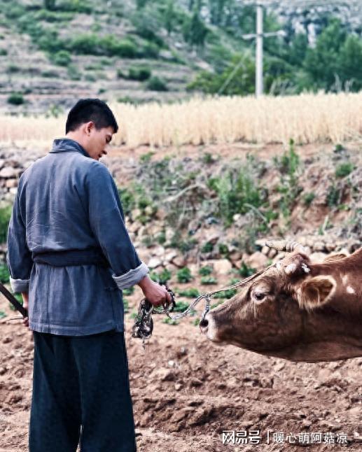 杨紫欧豪《玉兰花开君再来》未播先火顶流资源藏着硬实力