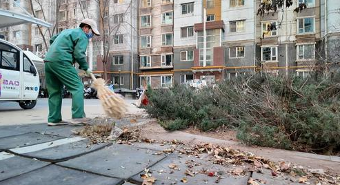 “十心”实事：物业服务提质效小区生活更美好