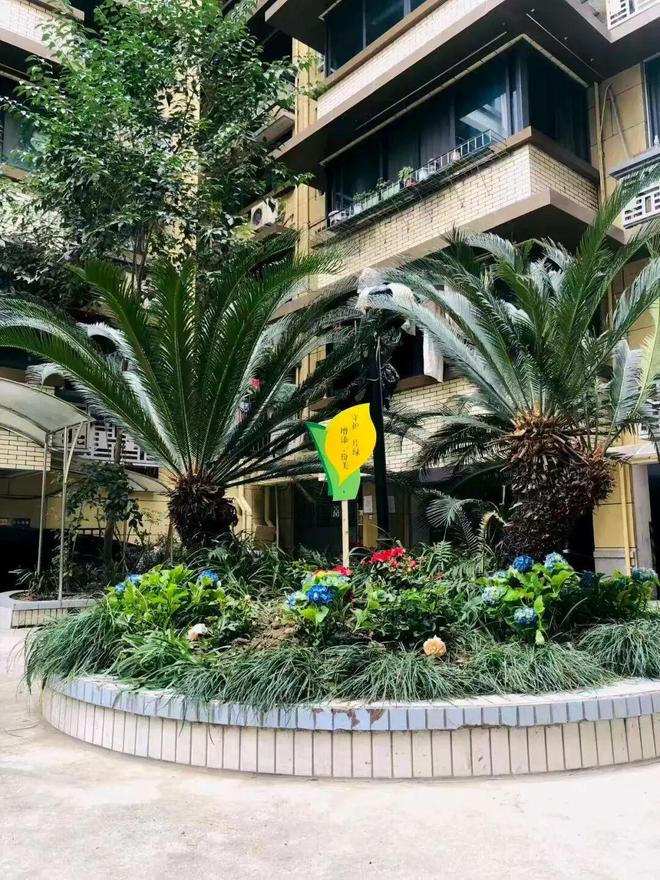 凯发国际安逸惨了！青羊老小区靠“党建+信托物业”打了个漂亮的“翻身仗”(图4)