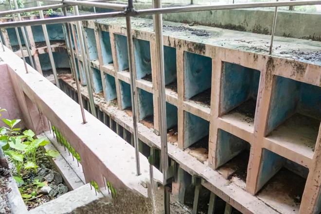 深圳第一“怪楼”像碉堡！推门一看让人傻眼了(图7)