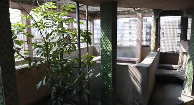 深圳第一“怪楼”像碉堡！推门一看让人傻眼了(图8)