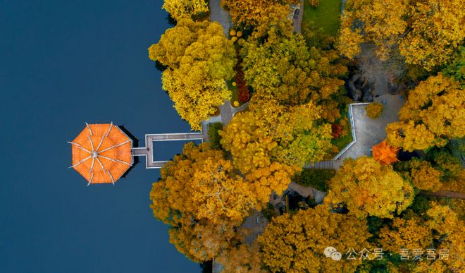 城央里(城央里营销中心)网站-售楼处-2025无锡房天下(图8)