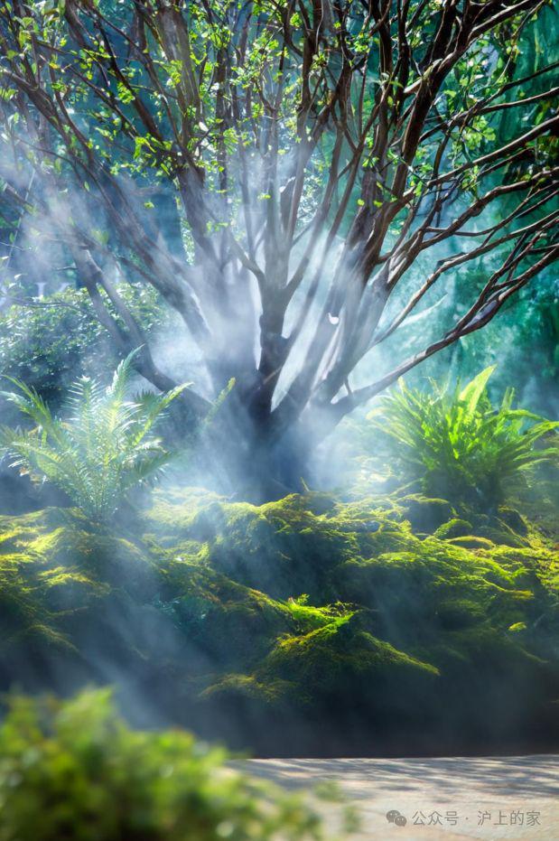 上海热搜豪宅!︎中建玖上琅宸售楼处发布:核心艺术奢宅(图8)