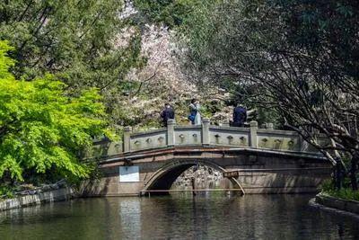 【爆款聚焦】万科中兴傲舍售楼处发布:中兴傲舍理想置业优选(图38)