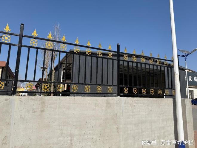围墙护栏厂家——河北万雷丝网制品有限公司。