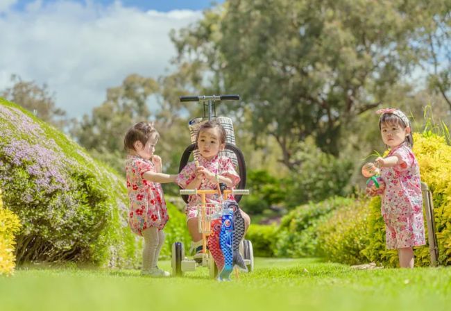 2026年婴儿车选购：轻便可登机千元内全能款实测推荐(图1)