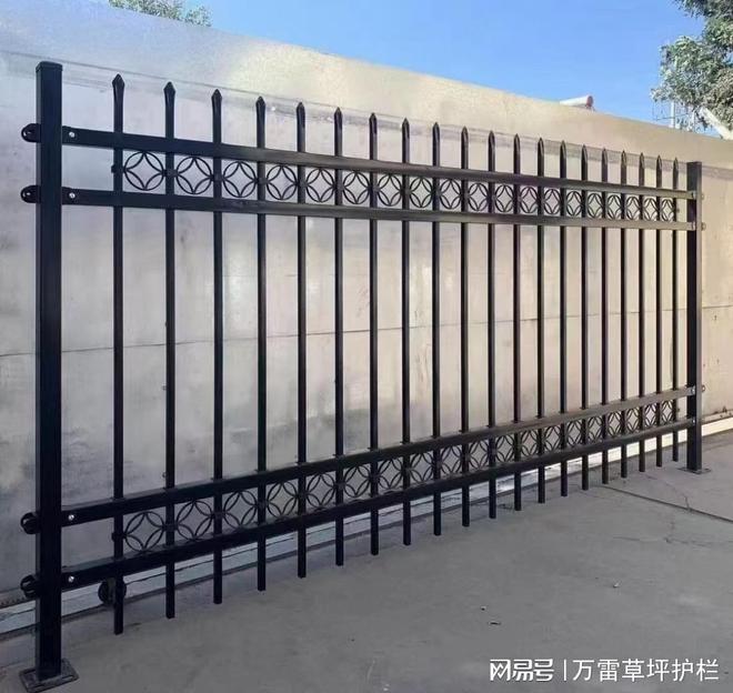 河北万雷丝网制品有限公司之专业的围墙护栏生产厂家(图2)